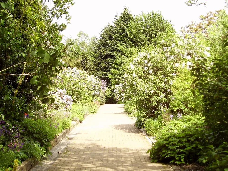 Experimentele tuin Jean Massart