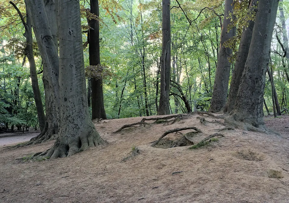 Roodebeek Park
